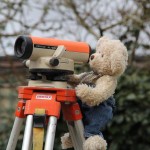 Big Ted Surveying Another 5mm Down