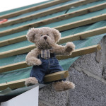 Roof - Big Ted fixing battens