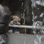 Big Ted at the Waterfall